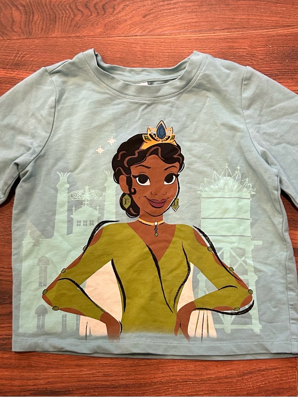 Disney Blue & light Green Princess Graphic Long Sleeve Tee